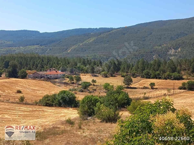 KARABÜK,YÖRÜKKÖYÜNDE KASTAMONU YOLU ÜZERİ SATILIK ÇİFTLİK