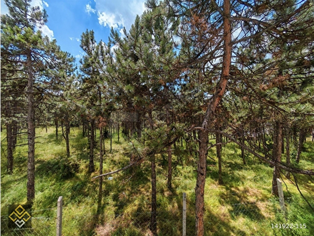 *** SIFIR LÜKS ORMAN MANZARALI [ 2+0 ] EŞYALI KİRALIK DAİRE /// - Görsel 14
