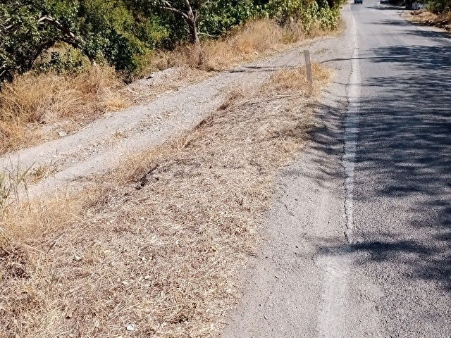 Sahibinden satılık Zeytin bahçesi - Görsel 2