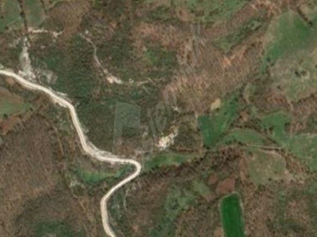 BALIKESİR GÖNEN BEYOLUK  KÖYÜNDE YATIRIMLIK  SÜPER  TARLA BAHÇE - Görsel 7