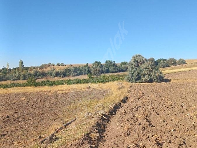ACİL SATILIK! MAHZEMİN 2750 m² TEK TAPU TARLA | KAPALI SULAMA YANI | FIRSAT | KAÇIRMAYIN - Görsel 15