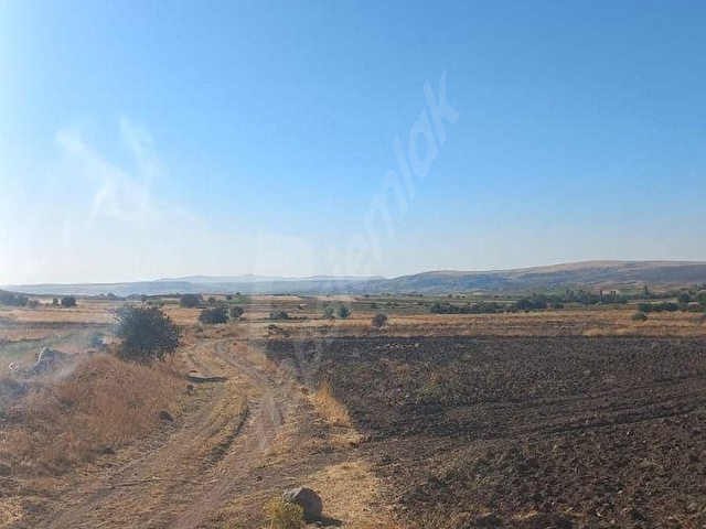 ACİL SATILIK! MAHZEMİN 2750 m² TEK TAPU TARLA | KAPALI SULAMA YANI | FIRSAT | KAÇIRMAYIN - Görsel 20
