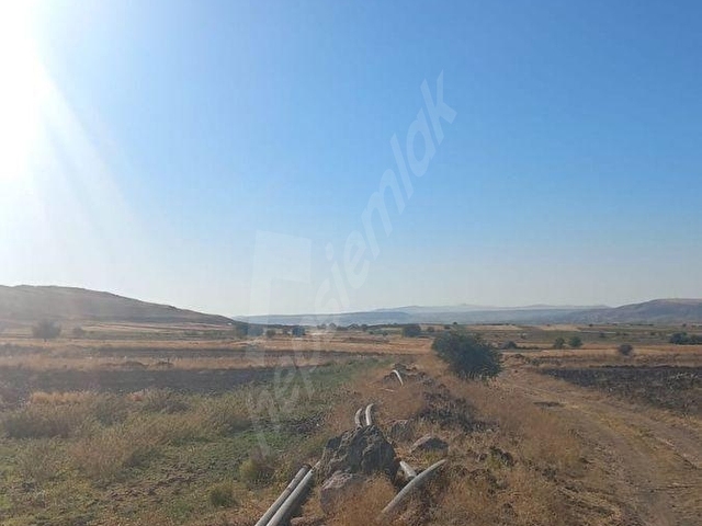 ACİL SATILIK! MAHZEMİN 2750 m² TEK TAPU TARLA | KAPALI SULAMA YANI | FIRSAT | KAÇIRMAYIN - Görsel 4
