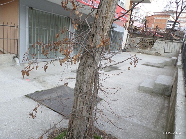 SEYRAN CADDESİNDE-95M2+50M2 MÜSTAKİL BAHÇE ALAN-BATI CEPHE-MUTFAK-W.C.Lİ - Görsel 16