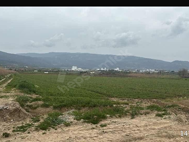 HELVACIOĞLU EMLAK TAN ÇALTI KÖYÜNDE SATILIK TARLA - Görsel 2