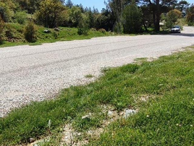 MUĞLA DENİZOVA SATILIK 4178m2 YOL KENARI TARLA - Görsel 3