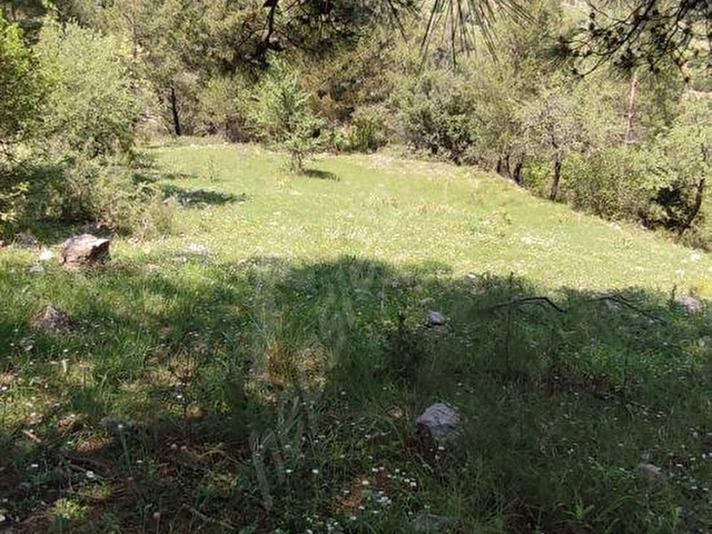 MUĞLA DENİZOVA SATILIK 4178m2 YOL KENARI TARLA - Görsel 8