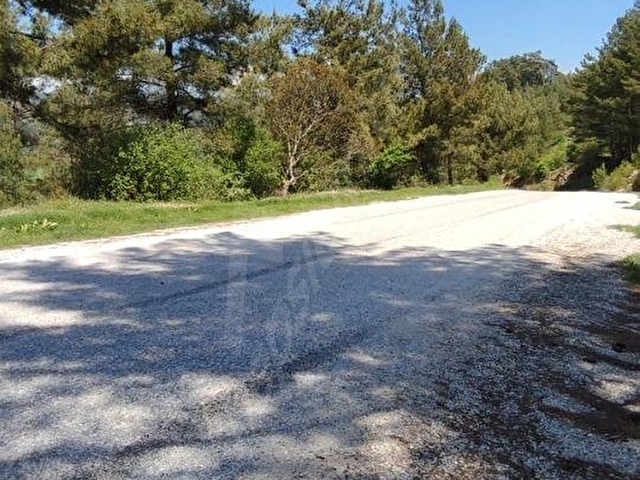 MUĞLA DENİZOVA SATILIK 4178m2 YOL KENARI TARLA - Görsel 6