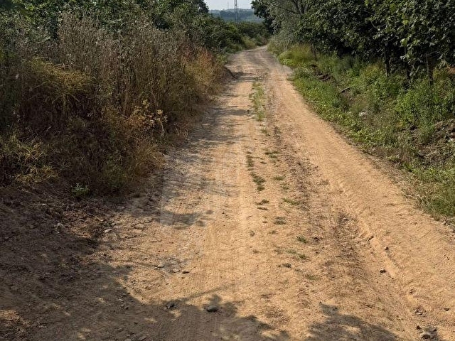 Kazımiye Ayvalı Mevkiinde Yatırıma Uygun, 4.937 m² Fındık Bahçesi - Görsel 20