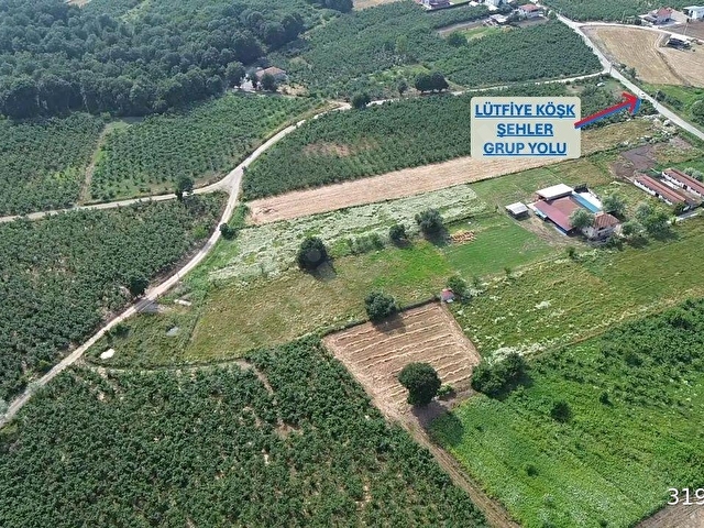 Kazımiye Ayvalı Mevkiinde Yatırıma Uygun, 4.937 m² Fındık Bahçesi - Görsel 3