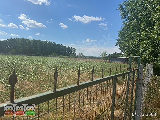EDİRNE MERKEZ BOSNAKÖYDE 3362 M2 SATILIK TARLA