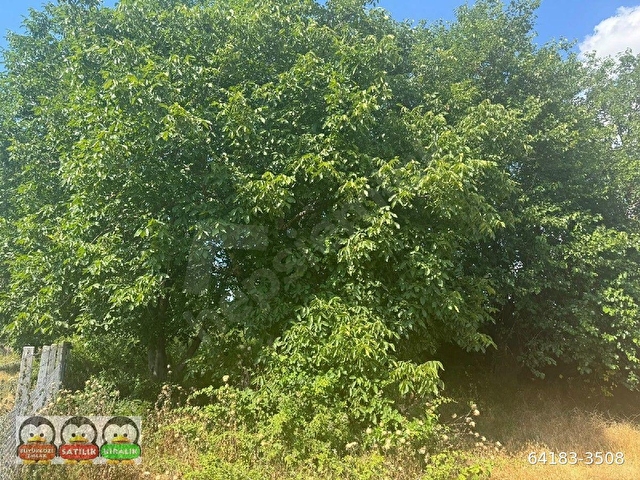 EDİRNE MERKEZ BOSNAKÖYDE 3362 M2 SATILIK TARLA - Görsel 8