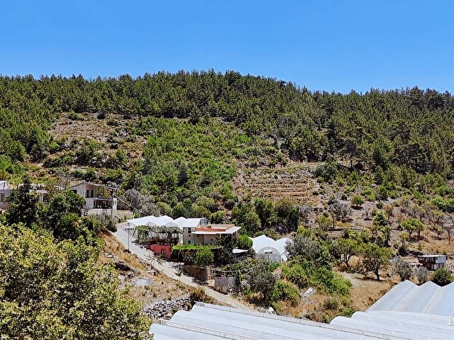 ALANYA KAYABAŞI MASRAFSIZ YOLA SIFIR 457m2 TARLA - Görsel 3