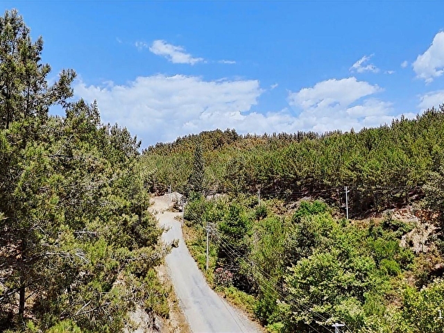 ALANYA KAYABAŞI MASRAFSIZ YOLA SIFIR 457m2 TARLA - Görsel 5