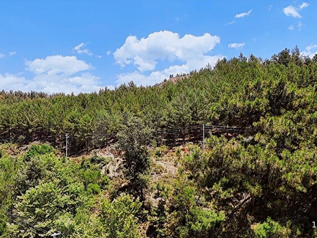 ALANYA KAYABAŞI MASRAFSIZ YOLA SIFIR 457m2 TARLA - Görsel 4