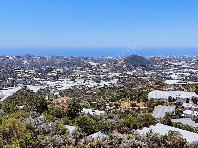 ALANYA KAYABAŞI MASRAFSIZ YOLA SIFIR 457m2 TARLA - Görsel 13