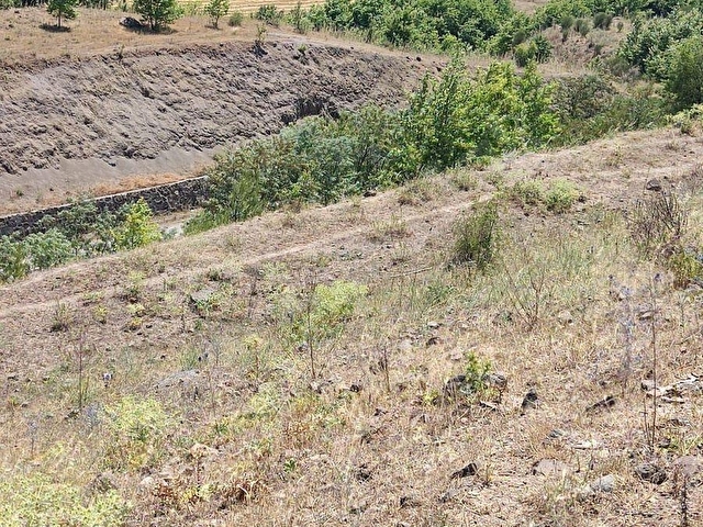Çanakkale Akçalıda 11.667 m² Satılık Tarla - Yatırıma Uygun - Görsel 5