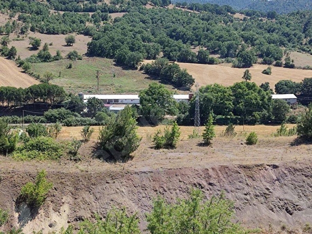 Çanakkale Akçalıda 11.667 m² Satılık Tarla - Yatırıma Uygun - Görsel 10