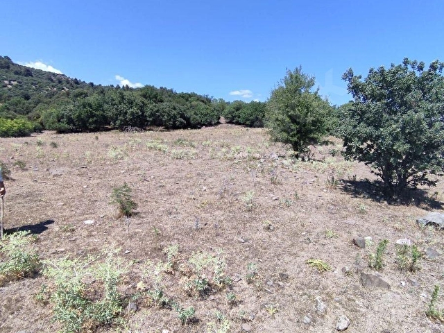 Çanakkale Akçalıda 11.667 m² Satılık Tarla - Yatırıma Uygun - Görsel 9