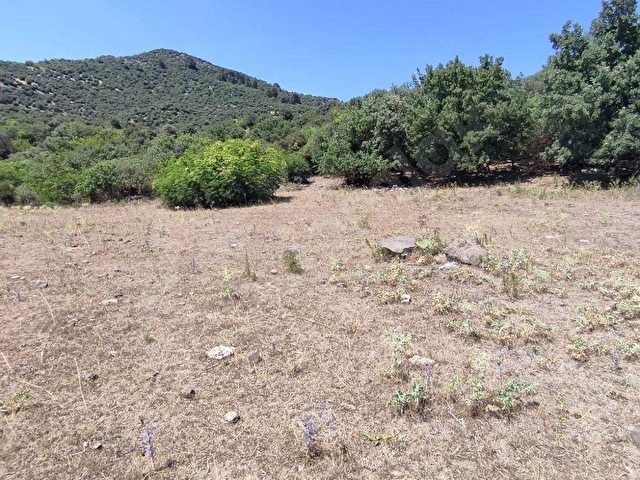 Çanakkale Akçalıda 11.667 m² Satılık Tarla - Yatırıma Uygun - Görsel 6