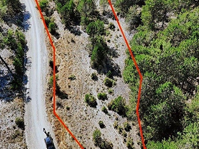 KELES KOCAKOVACIK YOLA CEPHE DÜZ TEK TAPU TARLA 3218 m2