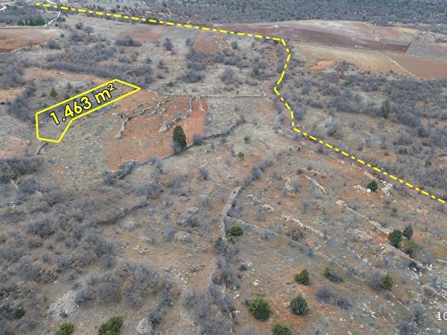 GÜNEYSINIR ÖMEROĞLU 1.463 M2 MÜSTAKİL TAPULU BAĞ - Görsel 3