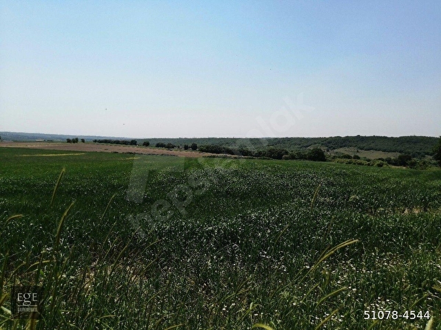SİLİVRİ BÜYÜKÇAVUŞLUDA 5000 M2 - Görsel 10