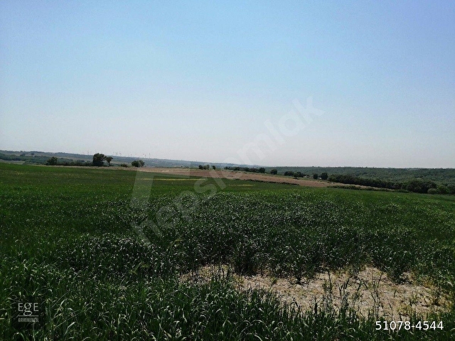 SİLİVRİ BÜYÜKÇAVUŞLUDA 5000 M2 - Görsel 12
