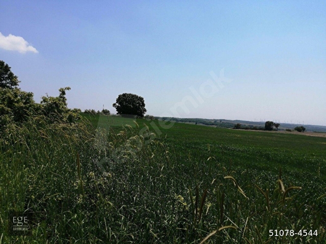 SİLİVRİ BÜYÜKÇAVUŞLUDA 5000 M2 - Görsel 13