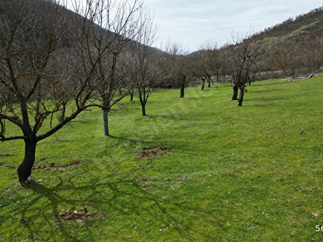 BURSA İZNİK YÖRÜKLER 4386 M2 SATILIK FIRSAT TARLA - Görsel 2