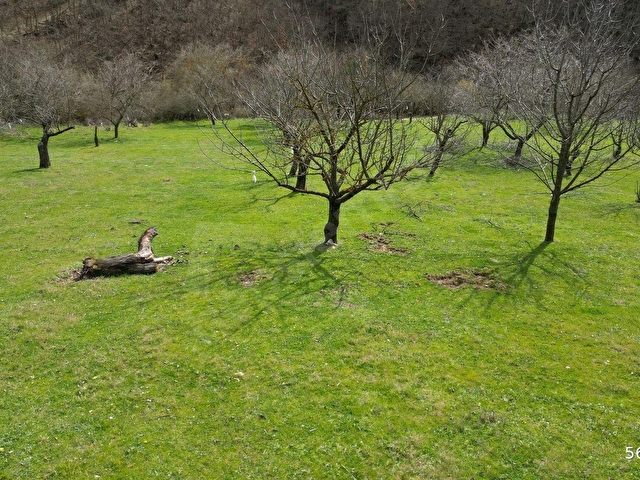 BURSA İZNİK YÖRÜKLER 4386 M2 SATILIK FIRSAT TARLA - Görsel 15