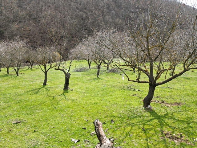 BURSA İZNİK YÖRÜKLER 4386 M2 SATILIK FIRSAT TARLA - Görsel 17