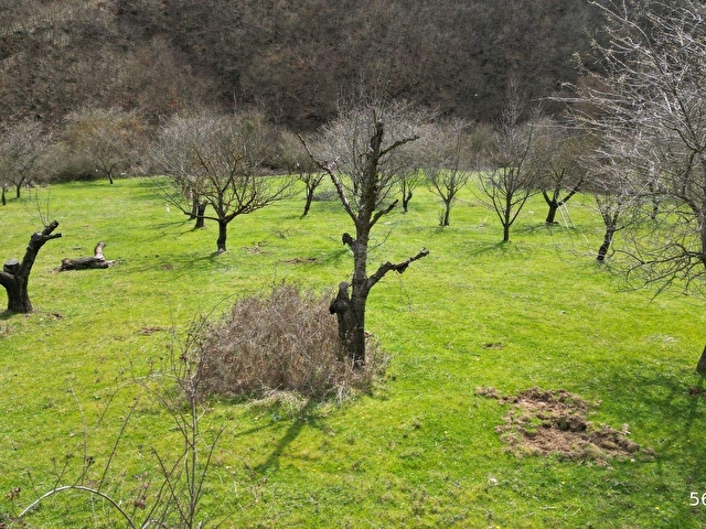 BURSA İZNİK YÖRÜKLER 4386 M2 SATILIK FIRSAT TARLA - Görsel 4
