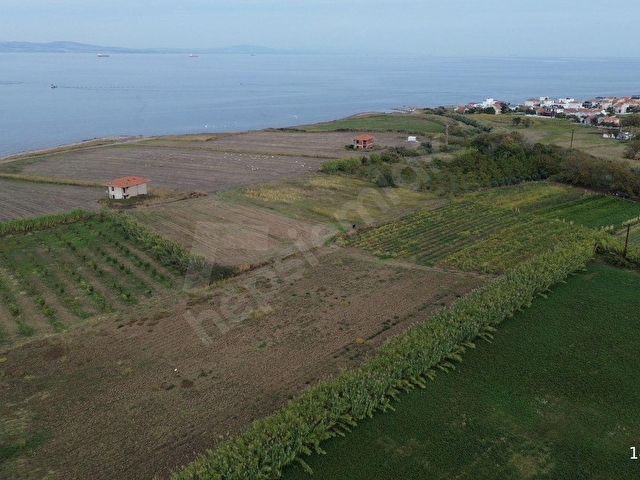Çardak Bayramdere Mevkiinde imar sınırında  Satılık Tarla - Görsel 17