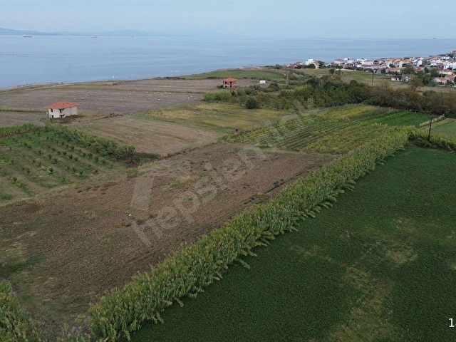 Çardak Bayramdere Mevkiinde imar sınırında  Satılık Tarla - Görsel 18