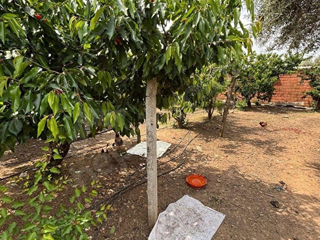 KEMALPAŞA SİNANCILAR MH FIRSAT ÇİFTLİK EVİ - Görsel 7