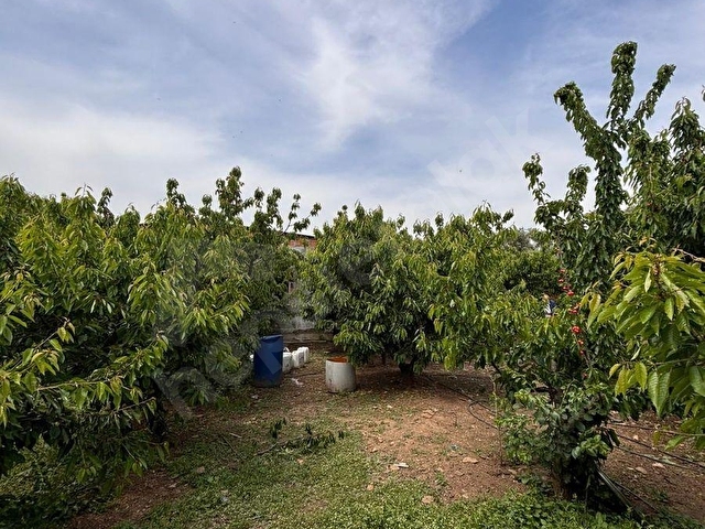 KEMALPAŞA SİNANCILAR MH FIRSAT ÇİFTLİK EVİ - Görsel 4