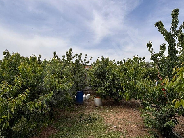 KEMALPAŞA SİNANCILAR MH FIRSAT ÇİFTLİK EVİ - Görsel 5