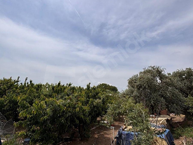KEMALPAŞA SİNANCILAR MH FIRSAT ÇİFTLİK EVİ - Görsel 6