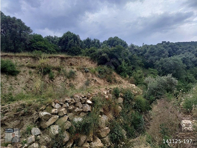 İhtişam Emlâk Gayrimenkul den CİNCİN de Satılık Arsa