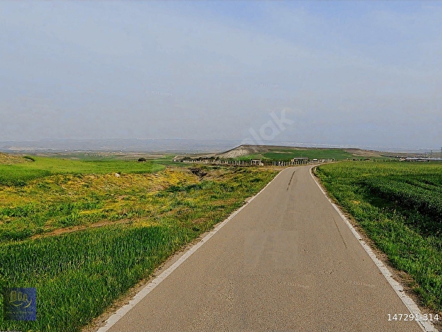 AYAŞ TEKKEDE YOLA CEPHE 2093 METRE TEK TAPU SATILIK ARAZİ - Görsel 19