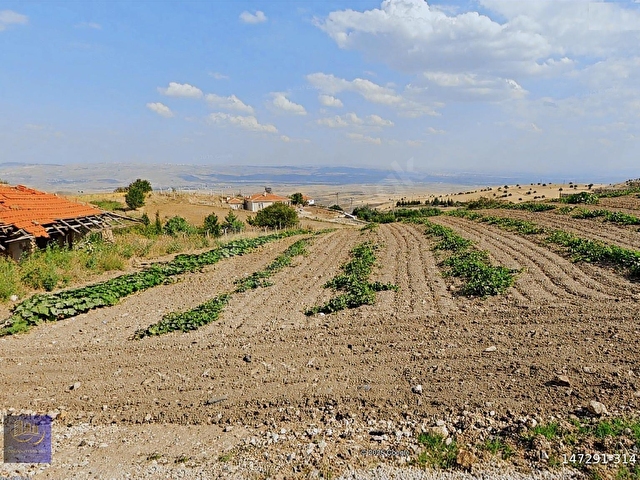 AYAŞ TEKKEDE YOLA CEPHE 2093 METRE TEK TAPU SATILIK ARAZİ - Görsel 29