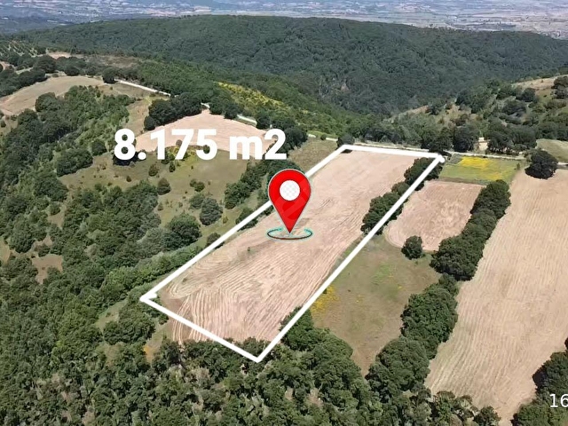 ASFALTA CEPHE - MANZARALI - ORMANLA İÇ İÇE ARAZİ - Görsel 3
