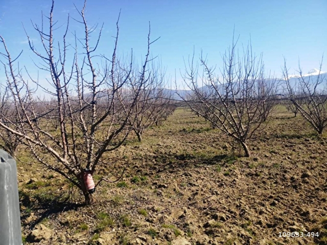 Hasat Emlaktan Antalya Elmali Tekke Koyu 109633 494 Hurriyet Emlak
