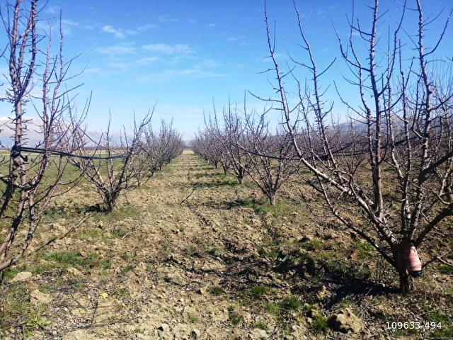 Hasat Emlaktan Antalya Elmali Tekke Koyu 109633 494 Hurriyet Emlak