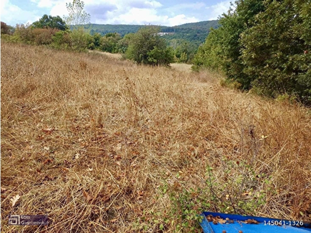 LOTS OFİS MUSTAFAKEMALPAŞA YENİCEDE YATIRIMLIK FIRSAT TARLA - Görsel 11
