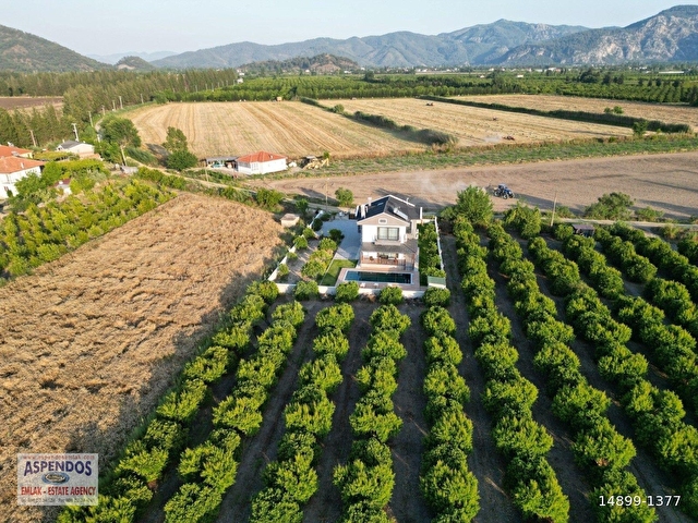 Eskiköyde 14.136 M2 Tarla İçerisinde 4+1 Satılık Villa - Görsel 28