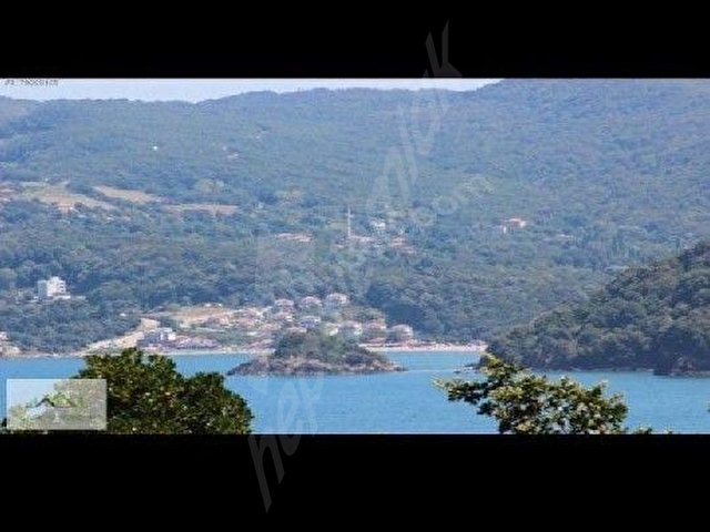 BARTIN MERKEZE BAĞLI HATİPLER KÖYÜ HASAN ÇAVUŞ MAHALLESİİNDE SATILIK             FINDIK BAHÇESİ - Görsel 15