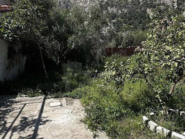 Satılık Köyün en güzel yerinde en nezih yerinde köy evi - Görsel 14