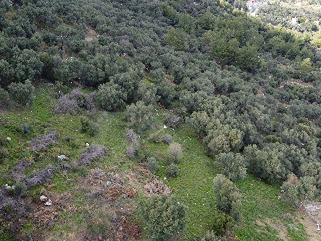 Atam Emlaktan Ortaca Sarıgermede Satılık %10 İmarlı 407 M2 Arsa - Görsel 28